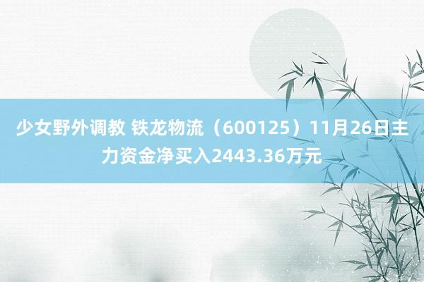 少女野外调教 铁龙物流（600125）11月26日主力资金净买入2443.36万元