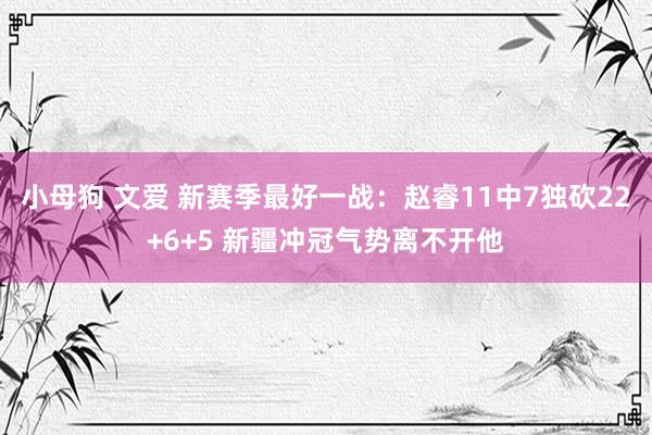 小母狗 文爱 新赛季最好一战：赵睿11中7独砍22+6+5 新疆冲冠气势离不开他