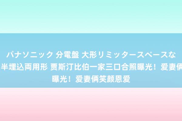 パナソニック 分電盤 大形リミッタースペースなし 露出・半埋込両用形 贾斯汀比伯一家三口合照曝光！爱妻俩笑颜恩爱