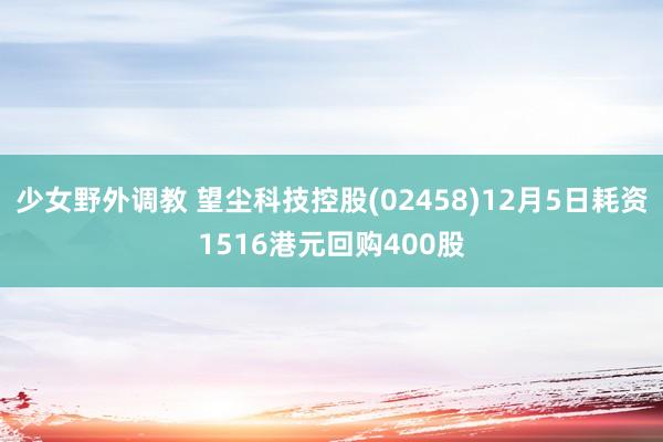 少女野外调教 望尘科技控股(02458)12月5日耗资1516港元回购400股