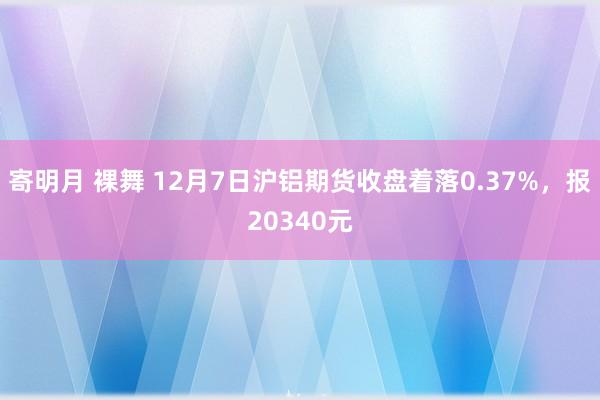 寄明月 裸舞 12月7日沪铝期货收盘着落0.37%，报20340元