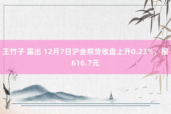 王竹子 露出 12月7日沪金期货收盘上升0.23%，报616.7元