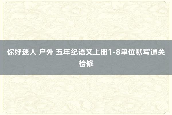 你好迷人 户外 五年纪语文上册1-8单位默写通关检修