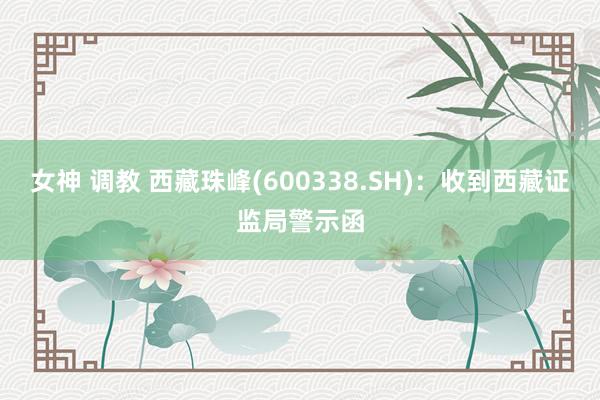 女神 调教 西藏珠峰(600338.SH)：收到西藏证监局警示函