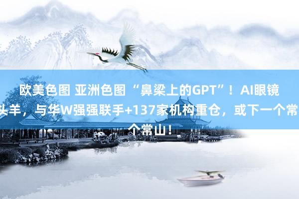 欧美色图 亚洲色图 “鼻梁上的GPT”！AI眼镜领头羊，与华W强强联手+137家机构重仓，或下一个常山！