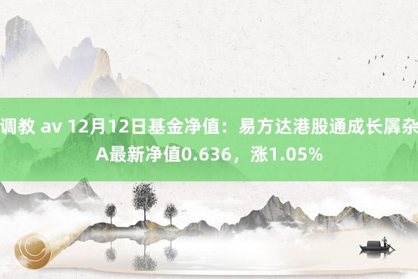 调教 av 12月12日基金净值：易方达港股通成长羼杂A最新净值0.636，涨1.05%