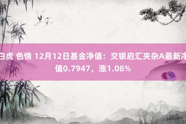 白虎 色情 12月12日基金净值：交银启汇夹杂A最新净值0.7947，涨1.08%