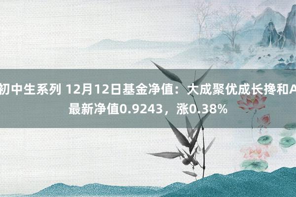 初中生系列 12月12日基金净值：大成聚优成长搀和A最新净值0.9243，涨0.38%