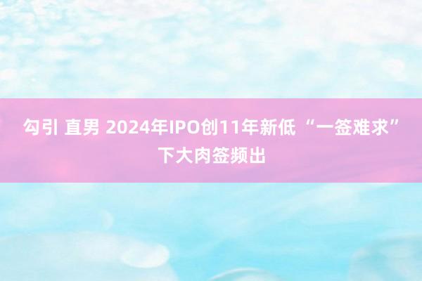 勾引 直男 2024年IPO创11年新低 “一签难求”下大肉签频出