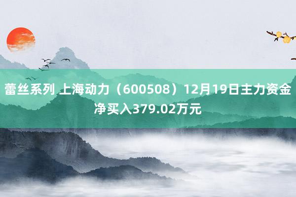 蕾丝系列 上海动力（600508）12月19日主力资金净买入379.02万元