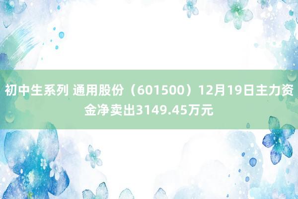 初中生系列 通用股份（601500）12月19日主力资金净卖出3149.45万元