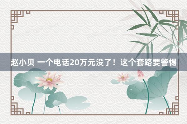 赵小贝 一个电话20万元没了！这个套路要警惕