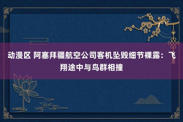 动漫区 阿塞拜疆航空公司客机坠毁细节裸露：飞翔途中与鸟群相撞