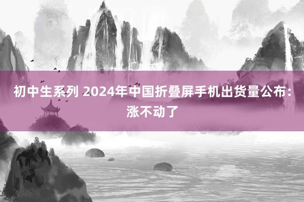 初中生系列 2024年中国折叠屏手机出货量公布：涨不动了