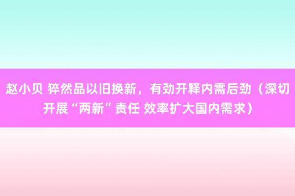 赵小贝 猝然品以旧换新，有劲开释内需后劲（深切开展“两新”责任 效率扩大国内需求）