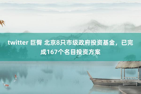 twitter 巨臀 北京8只市级政府投资基金，已完成167个名目投资方案