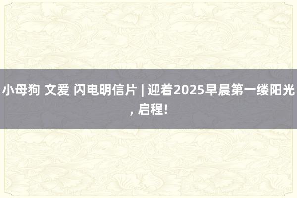 小母狗 文爱 闪电明信片 | 迎着2025早晨第一缕阳光，<a href=