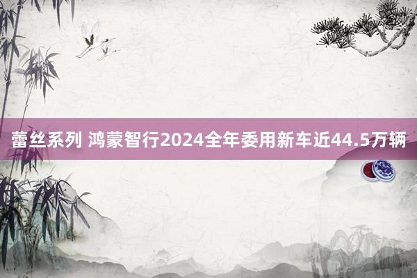 蕾丝系列 鸿蒙智行2024全年委用新车近44.5万辆