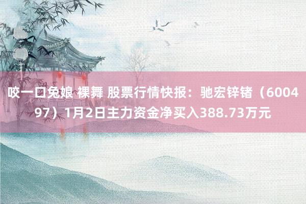 咬一口兔娘 裸舞 股票行情快报：驰宏锌锗（600497）1月2日主力资金净买入388.73万元