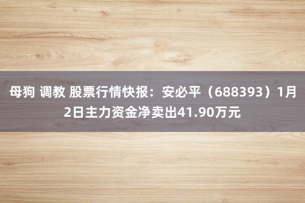 母狗 调教 股票行情快报：安必平（688393）1月2日主力资金净卖出41.90万元