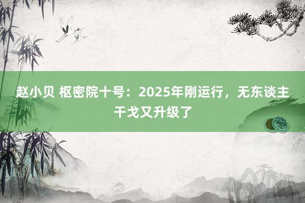 赵小贝 枢密院十号：2025年刚运行，无东谈主干戈又升级了