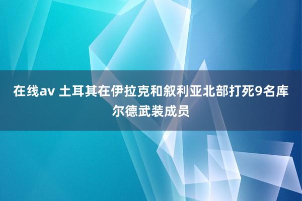 在线av 土耳其在伊拉克和叙利亚北部打死9名库尔德武装成员