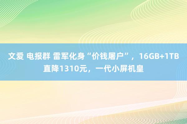 文爱 电报群 雷军化身“价钱屠户”，16GB+1TB直降1310元，一代小屏机皇