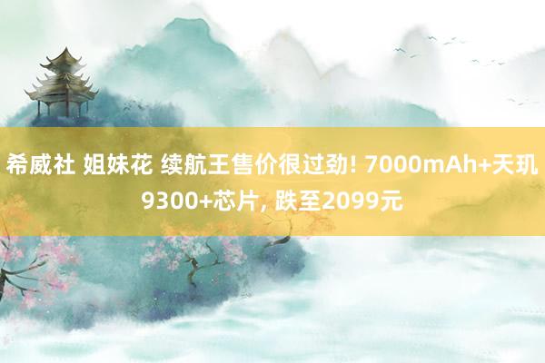 希威社 姐妹花 续航王售价很过劲! 7000mAh+天玑9300+芯片， 跌至2099元