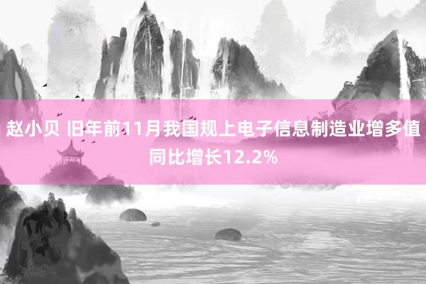 赵小贝 旧年前11月我国规上电子信息制造业增多值同比增长12.2%