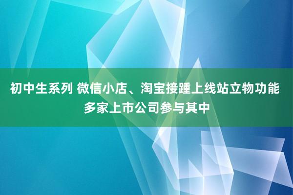 初中生系列 微信小店、淘宝接踵上线站立物功能 多家上市公司参与其中