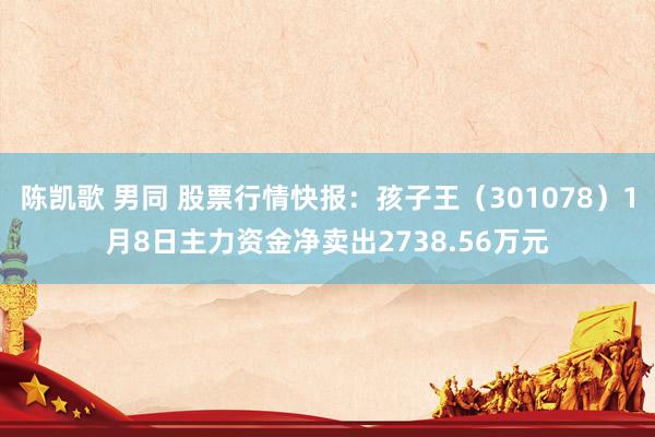 陈凯歌 男同 股票行情快报：孩子王（301078）1月8日主力资金净卖出2738.56万元