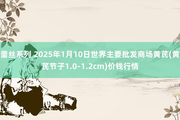 蕾丝系列 2025年1月10日世界主要批发商场黄芪(黄芪节子1.0-1.2cm)价钱行情