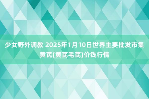 少女野外调教 2025年1月10日世界主要批发市集黄芪(黄芪毛芪)价钱行情