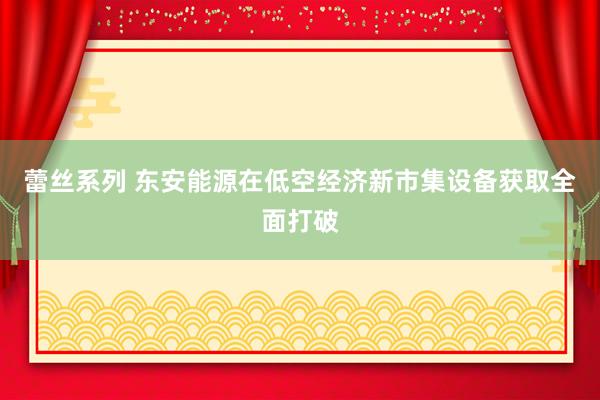 蕾丝系列 东安能源在低空经济新市集设备获取全面打破