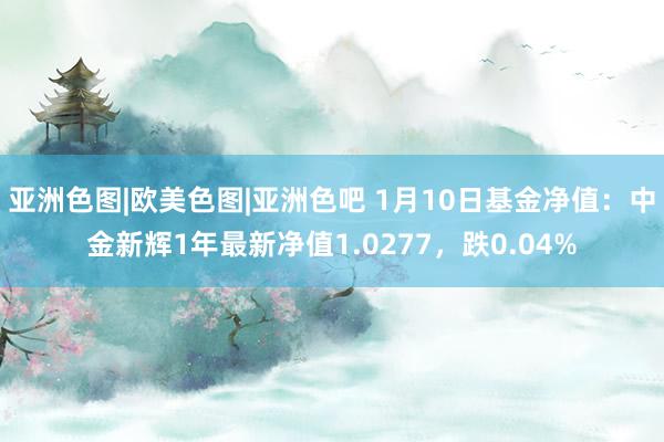 亚洲色图|欧美色图|亚洲色吧 1月10日基金净值：中金新辉1年最新净值1.0277，跌0.04%