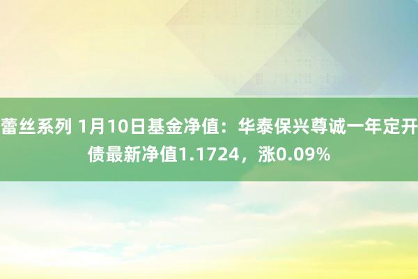 蕾丝系列 1月10日基金净值：华泰保兴尊诚一年定开债最新净值1.1724，涨0.09%