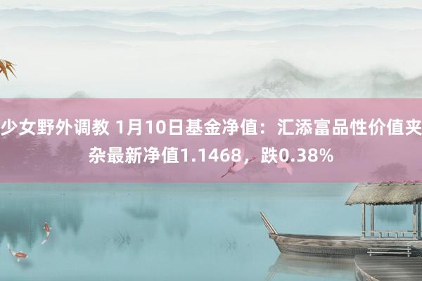 少女野外调教 1月10日基金净值：汇添富品性价值夹杂最新净值1.1468，跌0.38%