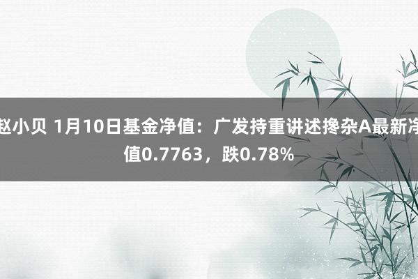 赵小贝 1月10日基金净值：广发持重讲述搀杂A最新净值0.7763，跌0.78%