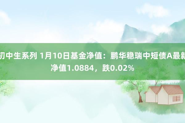 初中生系列 1月10日基金净值：鹏华稳瑞中短债A最新净值1.0884，跌0.02%