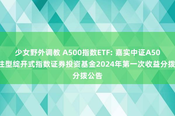 少女野外调教 A500指数ETF: 嘉实中证A500来往型绽开式指数证券投资基金2024年第一次收益分拨公告