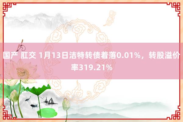 国产 肛交 1月13日洁特转债着落0.01%，转股溢价率319.21%