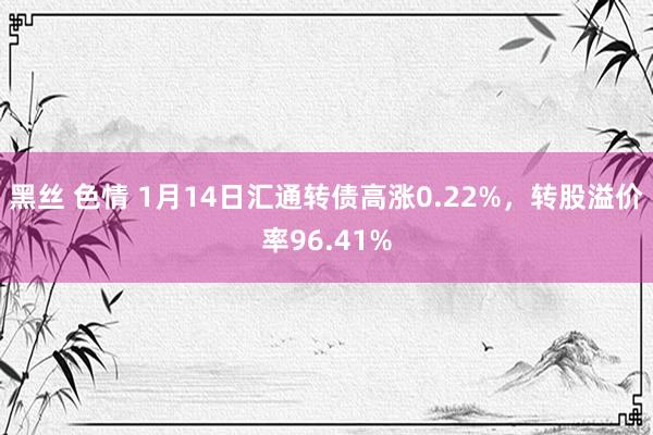 黑丝 色情 1月14日汇通转债高涨0.22%，转股溢价率96.41%