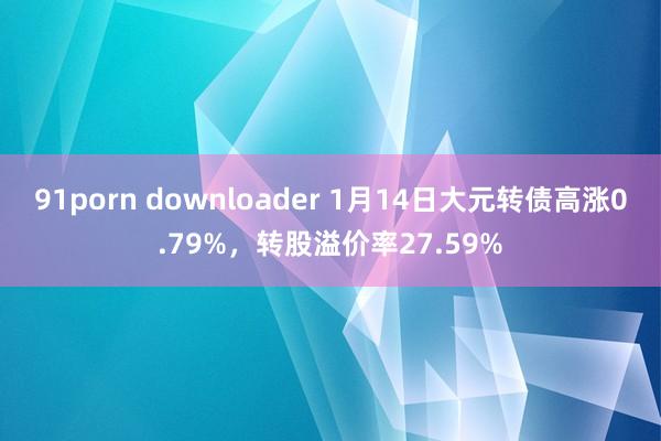 91porn downloader 1月14日大元转债高涨0.79%，转股溢价率27.59%