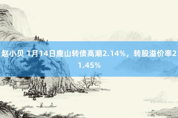 赵小贝 1月14日鹿山转债高潮2.14%，转股溢价率21.45%