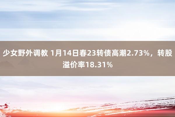 少女野外调教 1月14日春23转债高潮2.73%，转股溢价率18.31%