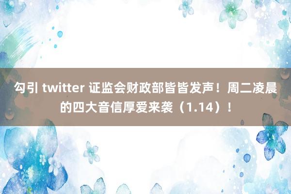 勾引 twitter 证监会财政部皆皆发声！周二凌晨的四大音信厚爱来袭（1.14）！