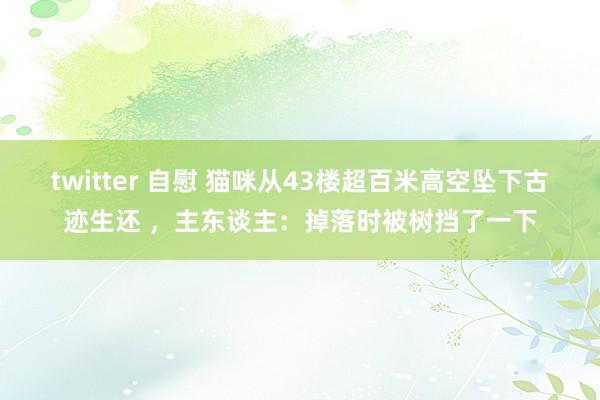 twitter 自慰 猫咪从43楼超百米高空坠下古迹生还 ，主东谈主：掉落时被树挡了一下