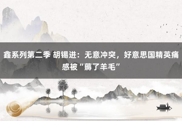 鑫系列第二季 胡锡进：无意冲突，好意思国精英痛感被“薅了羊毛”