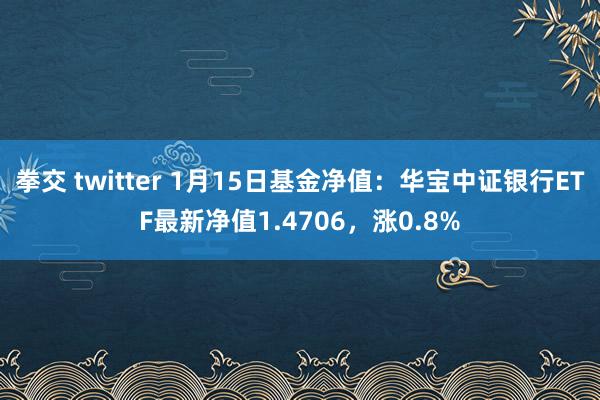 拳交 twitter 1月15日基金净值：华宝中证银行ETF最新净值1.4706，涨0.8%