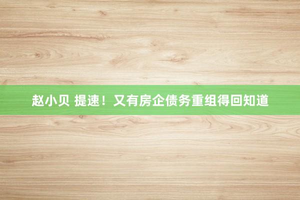 赵小贝 提速！又有房企债务重组得回知道